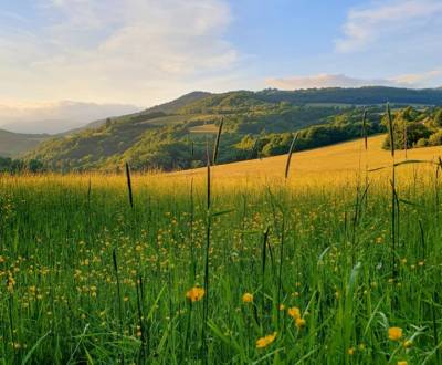 Sale Agrarian and forest land, Agrarian and forest land, Žiar nad Hron