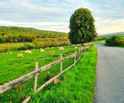 Sale Agrarian and forest land, Agrarian and forest land, Lučenec, Slov