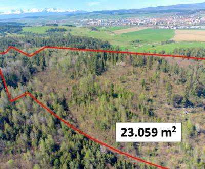 Sale Agrarian and forest land, Agrarian and forest land, Spišská Nová 