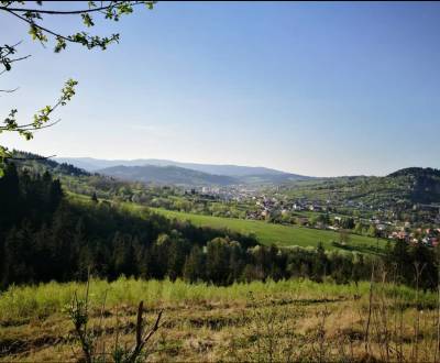 Sale Agrarian and forest land, Agrarian and forest land, Čadca, Slovak