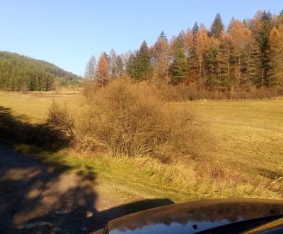 Sale Agrarian and forest land, Agrarian and forest land, Turčianske Te