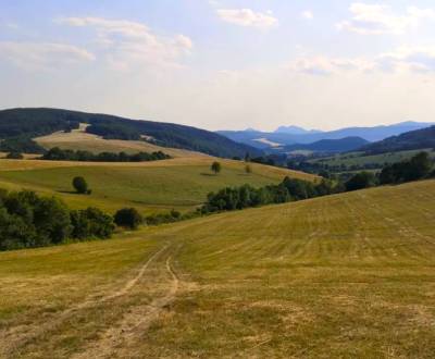 Sale Agrarian and forest land, Agrarian and forest land, Púchov, Slova