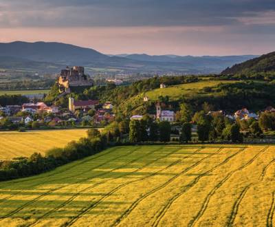 Sale Agrarian and forest land, Agrarian and forest land, Nové Mesto na