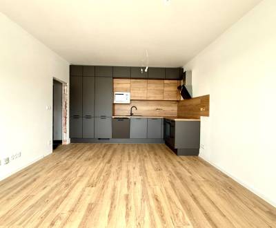 Rent Studio, Studio, Hlohovec, Slovakia