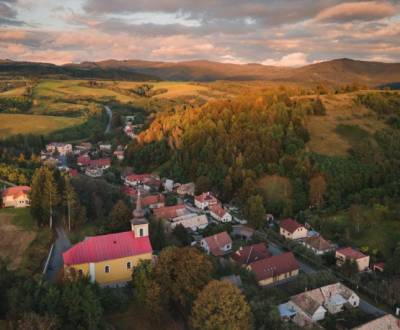 Sale Agrarian and forest land, Agrarian and forest land, Detva, Slovak