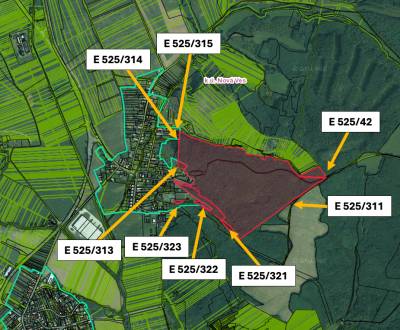 Sale Agrarian and forest land, Agrarian and forest land, Veľký Krtíš, 