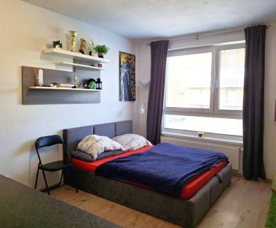 Sale Single studio, Single studio, Pri Hrubej lúke, Bratislava - Dúbra