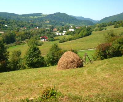 Sale Agrarian and forest land, Agrarian and forest land, Považská Byst