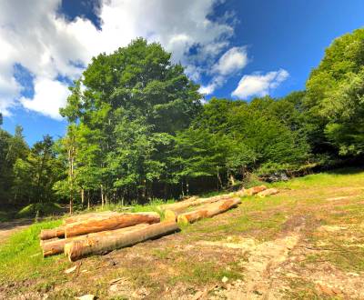 Sale Agrarian and forest land, Agrarian and forest land, Gelnica, Slov