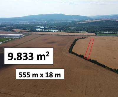 Sale Agrarian and forest land, Agrarian and forest land, Nové Mesto na