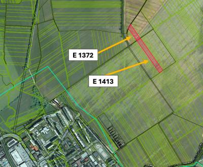 Sale Agrarian and forest land, Agrarian and forest land, Bánovce nad B