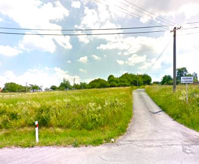 Sale Agrarian and forest land, Agrarian and forest land, Detva, Slovak