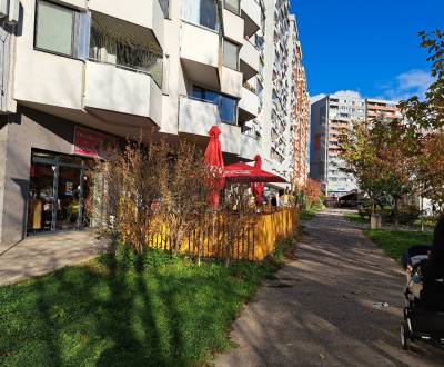 Sale One bedroom apartment, One bedroom apartment, Fedinova, Bratislav