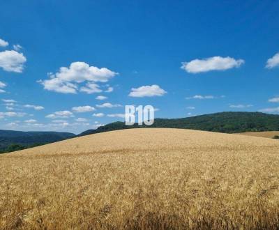 Sale Land – for living, Land – for living, Martin, Slovakia