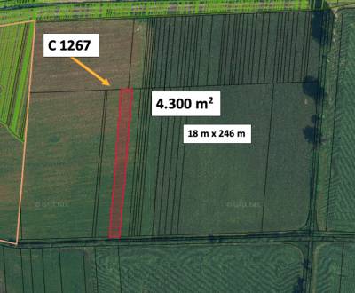 Sale Agrarian and forest land, Agrarian and forest land, Lučenec, Slov