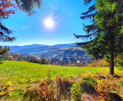 Sale Agrarian and forest land, Agrarian and forest land, Žiar nad Hron