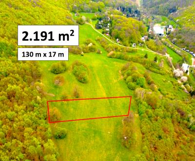 Sale Agrarian and forest land, Agrarian and forest land, Trenčín, Slov