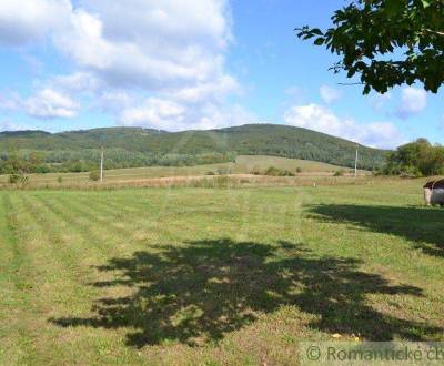 Sale Agrarian and forest land, Agrarian and forest land, Bardejov, Slo