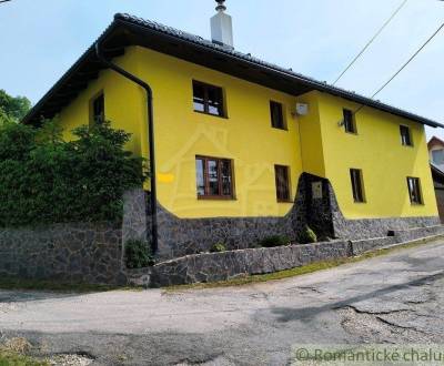 Sale Family house, Family house, Nové Mesto nad Váhom, Slovakia