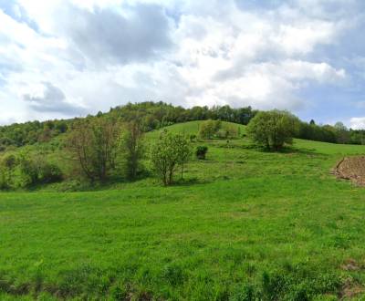 Sale Agrarian and forest land, Agrarian and forest land, Rimavská Sobo