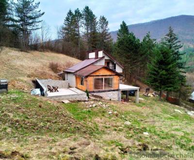 Sale Cottage, Cottage, Ilava, Slovakia