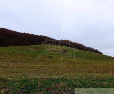 Sale Agrarian and forest land, Agrarian and forest land, Humenné, Slov