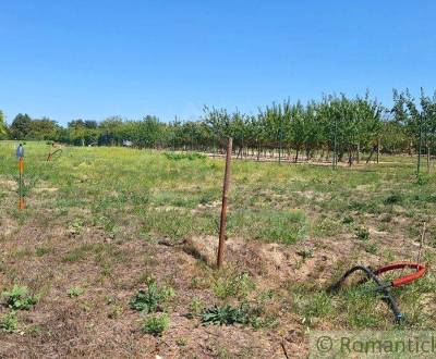 Sale Land – for living, Land – for living, Komárno, Slovakia