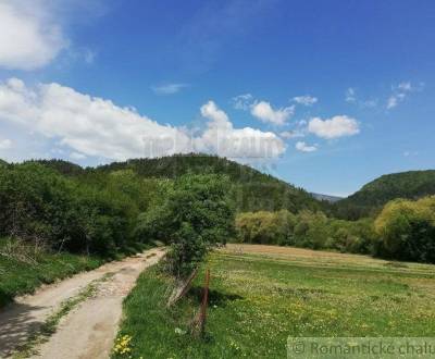 Sale Agrarian and forest land, Agrarian and forest land, Banská Bystri