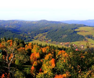 Sale Agrarian and forest land, Agrarian and forest land, Čadca, Slovak