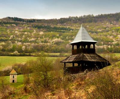 Sale Agrarian and forest land, Agrarian and forest land, Detva, Slovak