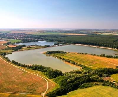 Sale Agrarian and forest land, Agrarian and forest land, Pezinok, Slov