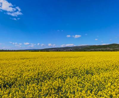 Sale Agrarian and forest land, Agrarian and forest land, Pezinok, Slov