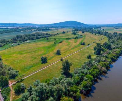 Sale Agrarian and forest land, Agrarian and forest land, Bratislava - 