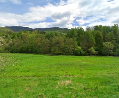 Sale Agrarian and forest land, Agrarian and forest land, Rimavská Sobo