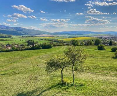 Sale Agrarian and forest land, Agrarian and forest land, Trenčín, Slov