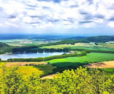 Sale Agrarian and forest land, Agrarian and forest land, Trnava, Slova