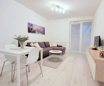 Rent One bedroom apartment, One bedroom apartment, Bratislava - Petrža