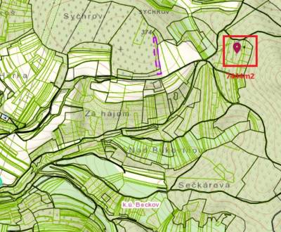 Sale Agrarian and forest land, Agrarian and forest land, Nové Mesto na