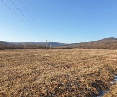 Sale Agrarian and forest land, Agrarian and forest land, Malacká cesta