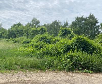 Sale Land – for living, Land – for living, Rímska, Malacky, Slovakia