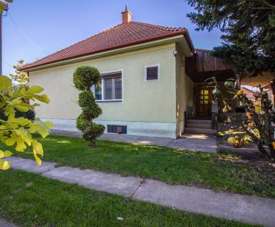 Sale Family house, Family house, Malý Máger, Dunajská Streda, Slovakia