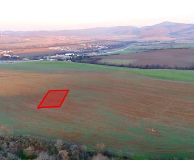 Sale Agrarian and forest land, Agrarian and forest land, Trenčín, Slov