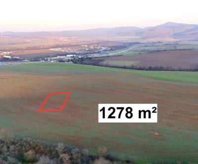 Sale Agrarian and forest land, Agrarian and forest land, Trenčín, Slov