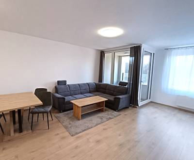 Rent 2-room apartment with a loggia in the new building POPRAD Karpats