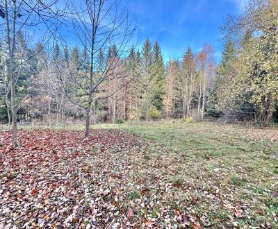 Sale Recreational land, Recreational land, Blgošovci, Čadca, Slovakia