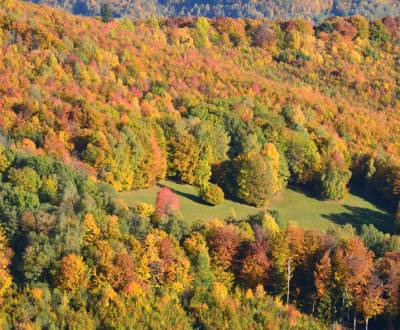 Sale Agrarian and forest land, Agrarian and forest land, Revúca, Slova