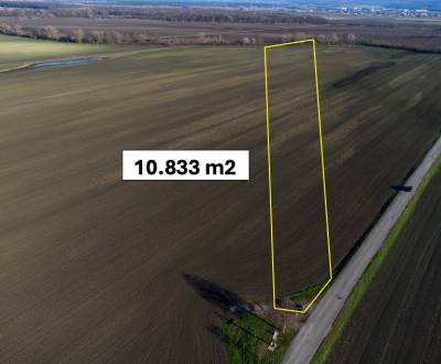 Sale Agrarian and forest land, Agrarian and forest land, Malacky, Slov