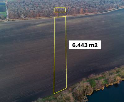 Sale Agrarian and forest land, Agrarian and forest land, Malacky, Slov