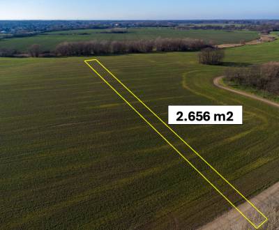 Sale Agrarian and forest land, Agrarian and forest land, Malacky, Slov