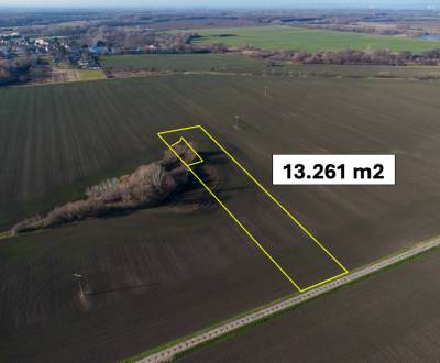 Sale Agrarian and forest land, Agrarian and forest land, Malacky, Slov